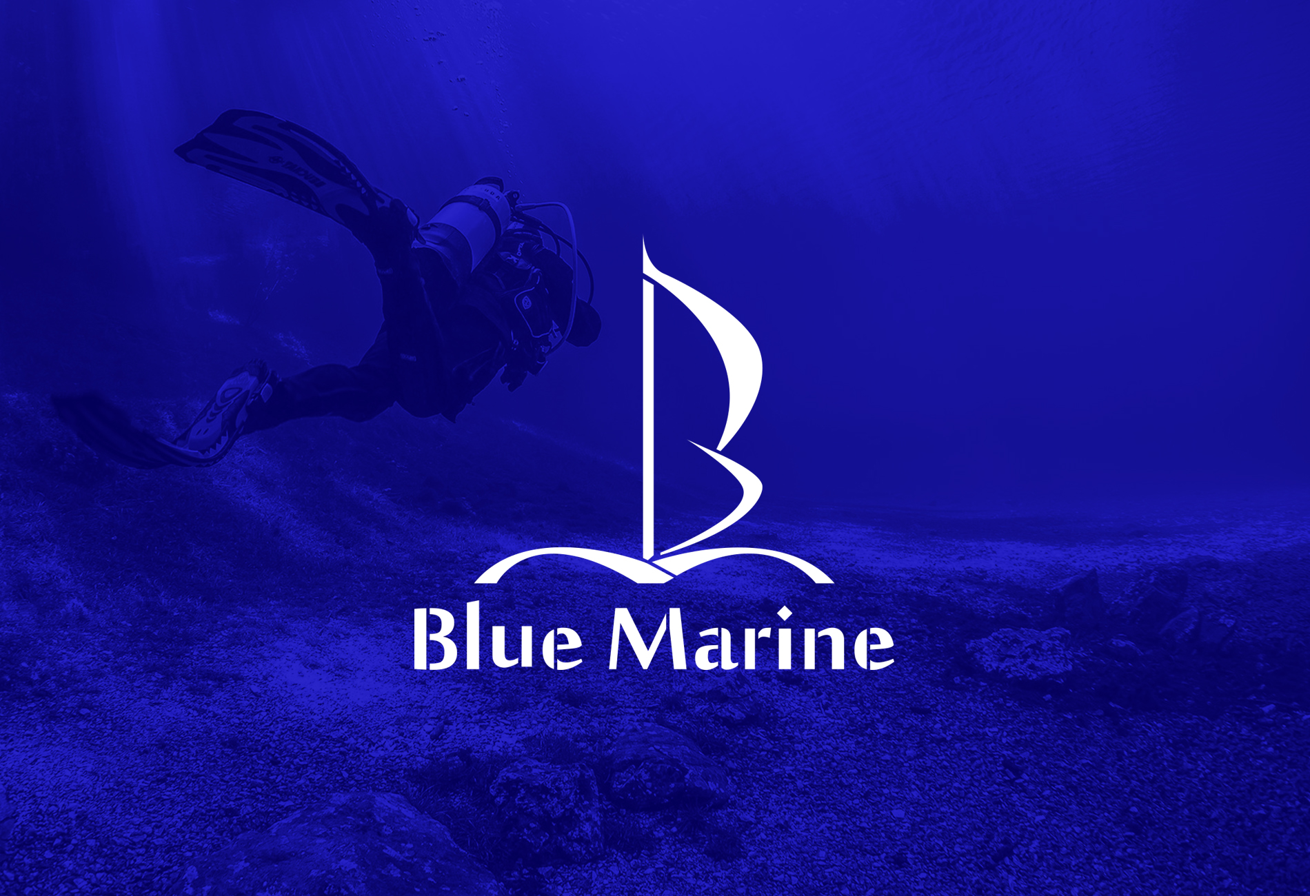 bluemarine